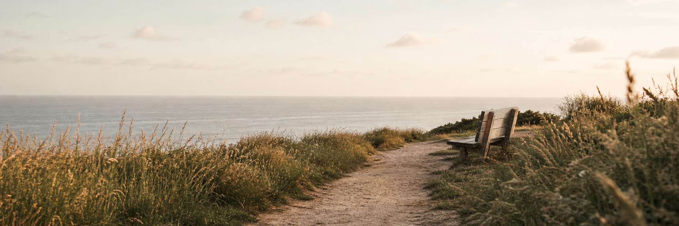 A quiet path through tall grass leading to a bench overlooking the sea in the early morning light
