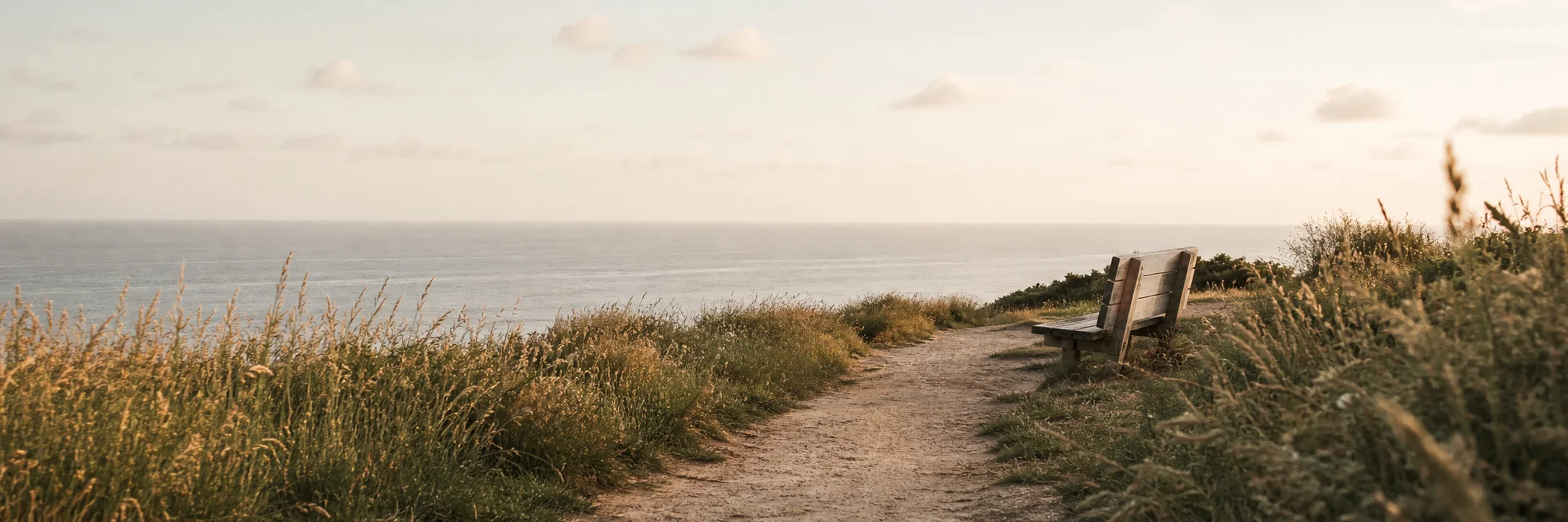 A quiet path through tall grass leading to a bench overlooking the sea in the early morning light